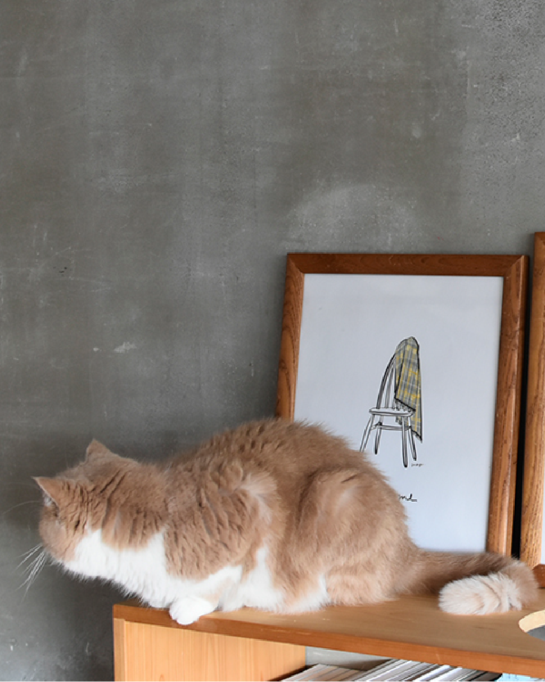 キャンバス素材のアートポスター(B3サイズ) - OURHOME