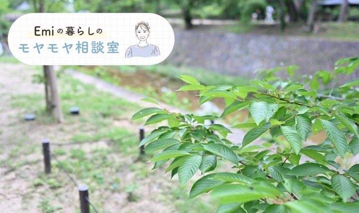 移住するべきか、このままでいるべきか。| Emiの暮らしのモヤモヤ相談室