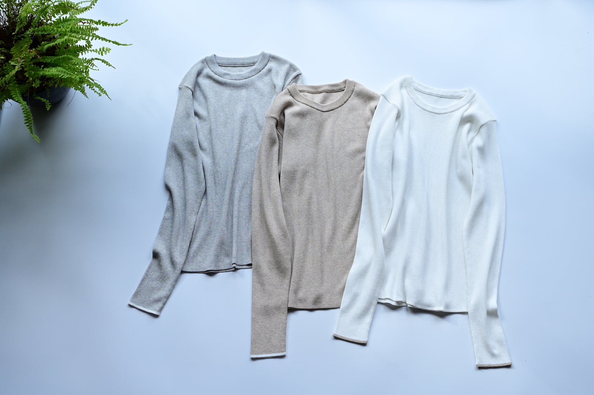 洗える配色アクセントのリブニット - OURHOME