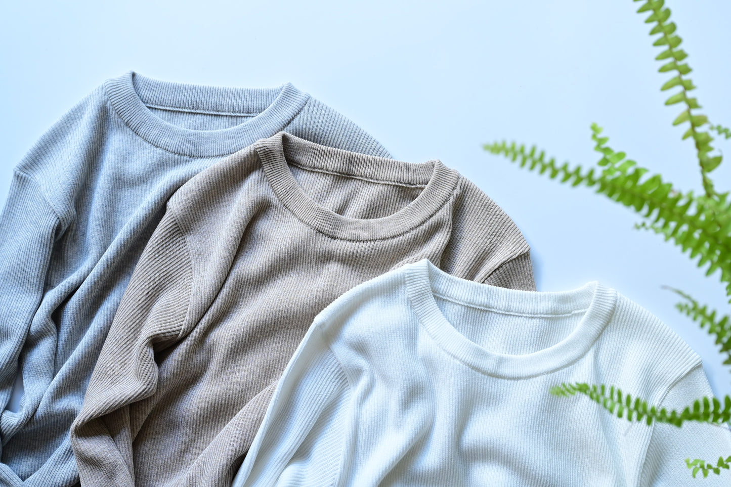 洗える配色アクセントのリブニット - OURHOME